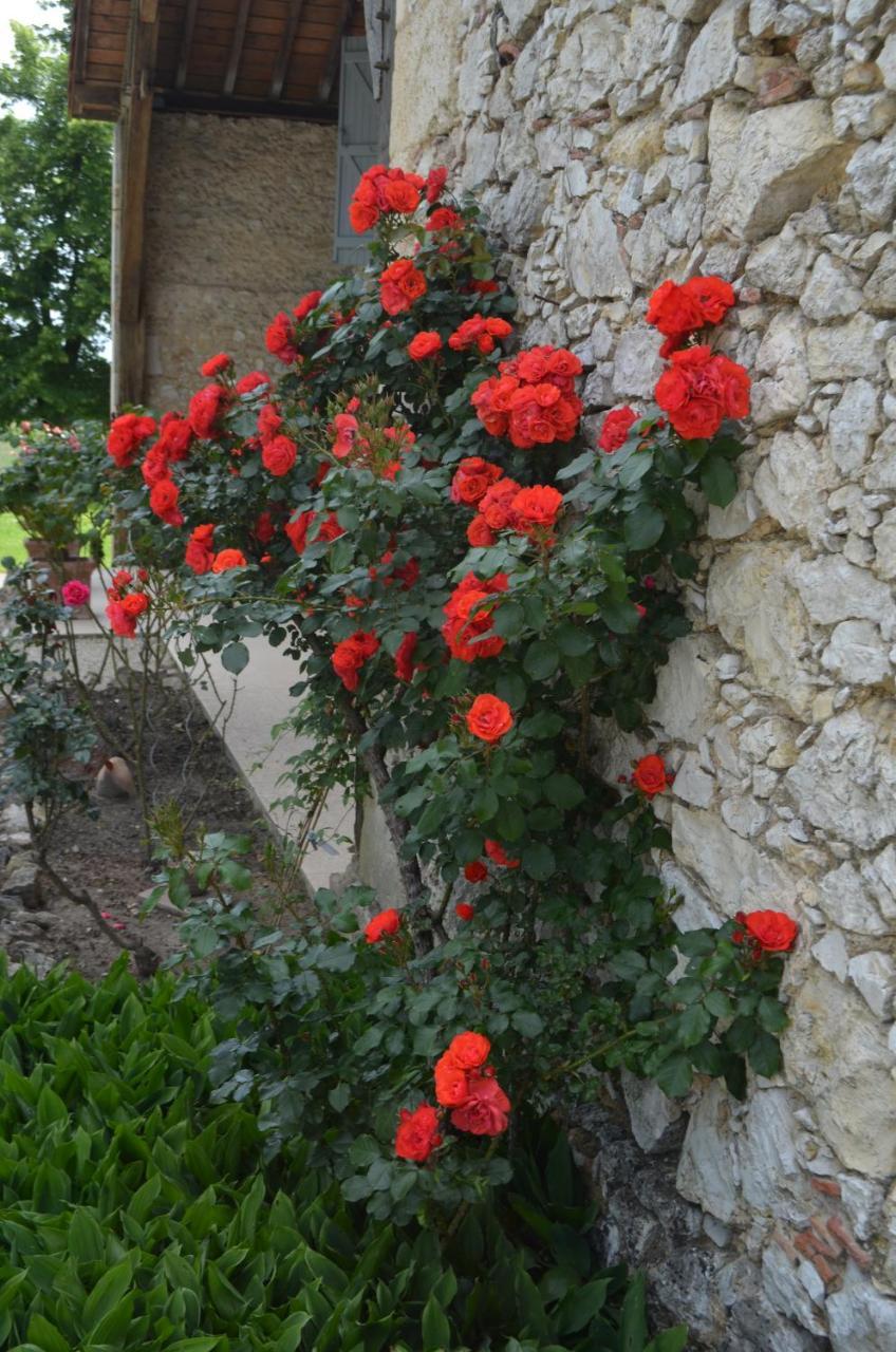 Le Poutic Gite Et Maison D'Hotes Creon-d'Armagnac Exterior foto